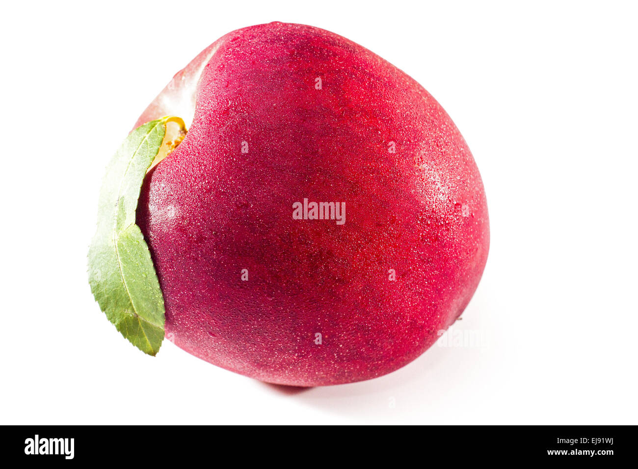 Nectarine fruit Stock Photo Alamy