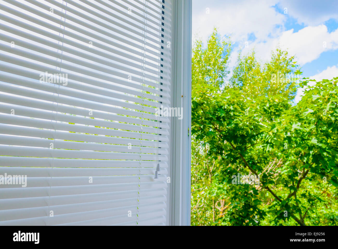 window blinds Stock Photo Alamy