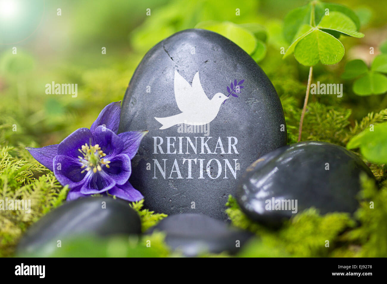 Black stone with the Word „Reinkarnation“ Stock Photo