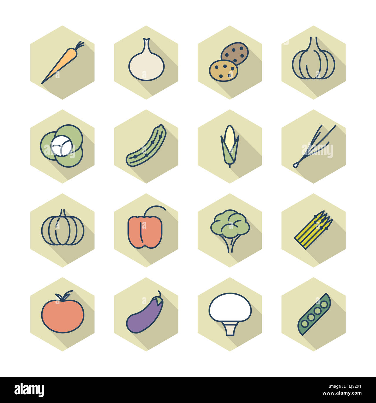 Thin Line Icons For Vegetables Stock Photo - Alamy