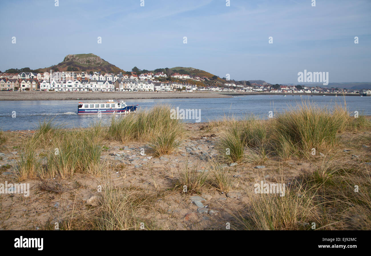 Sightseeing boat passes sand dunes Conwy Harbour, North Wales seen at low tide and with Deganwy houses and castle seen behind Stock Photo