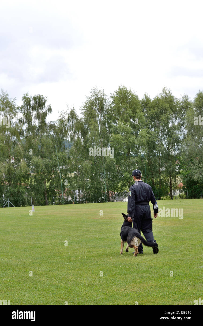 Dog trainer exercises with dog foot command Stock Photo