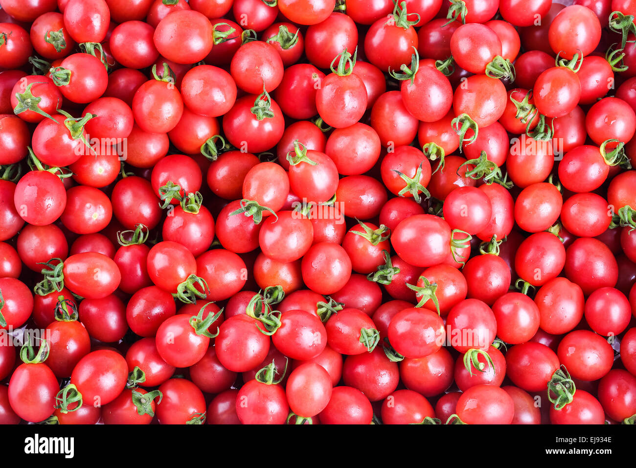 cherry tomatoes background Stock Photo