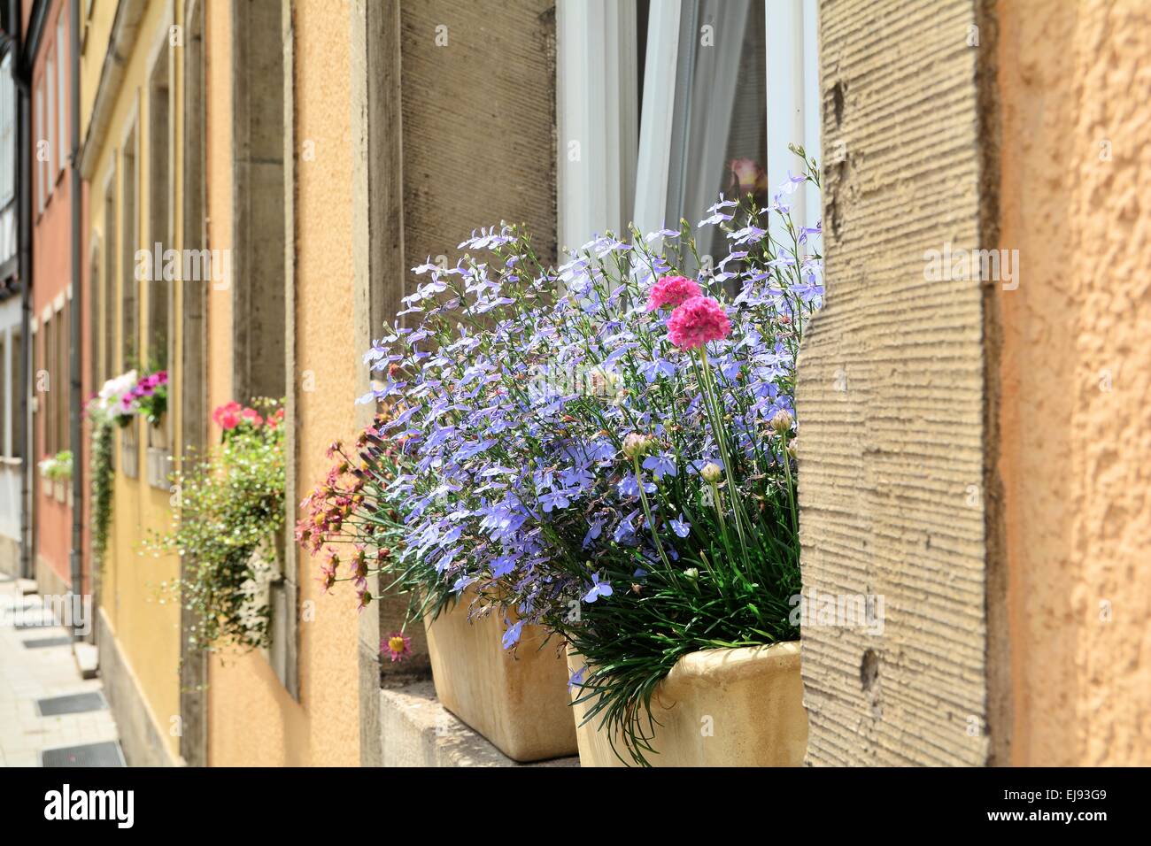 Flowers in the window of a house Stock Photo