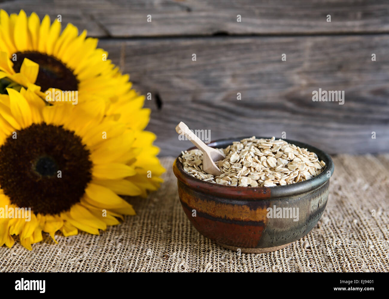 Bowl of Oats Stock Photo
