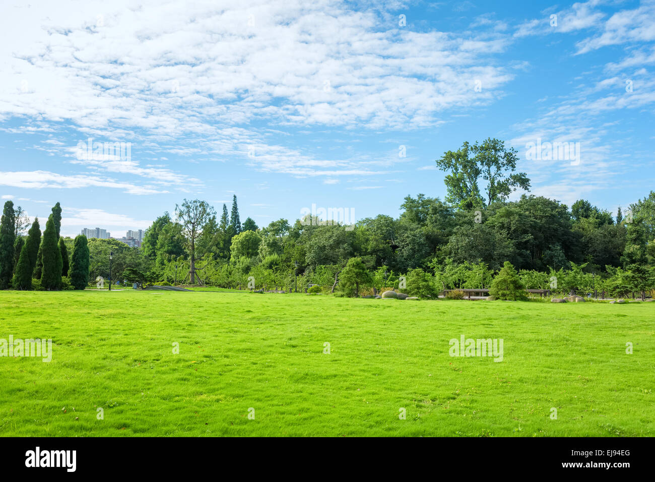 Image showcasing park grass in morning Stock Photo - Alamy