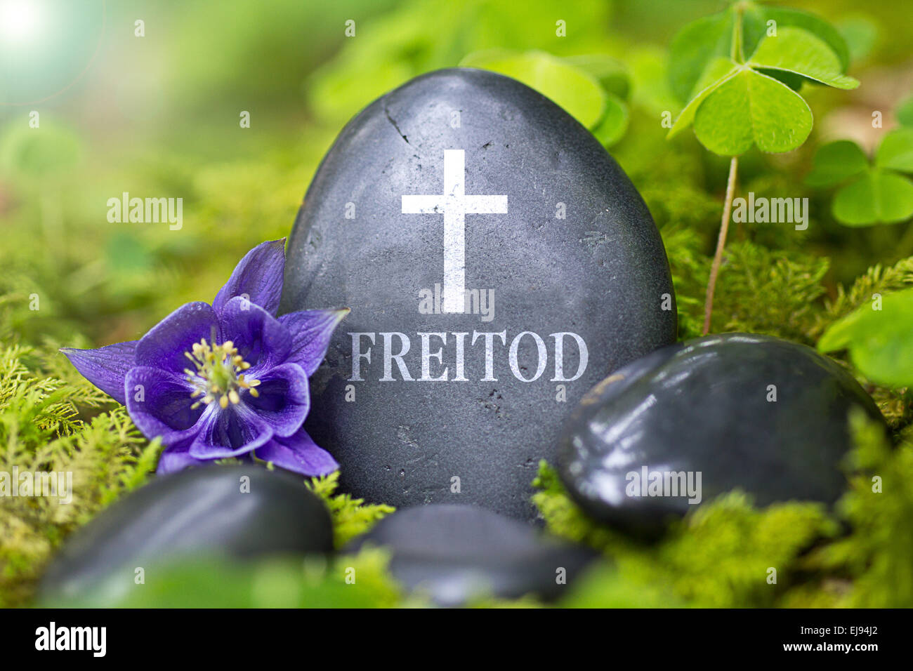 Black stone with the Word „Freitod“ Stock Photo