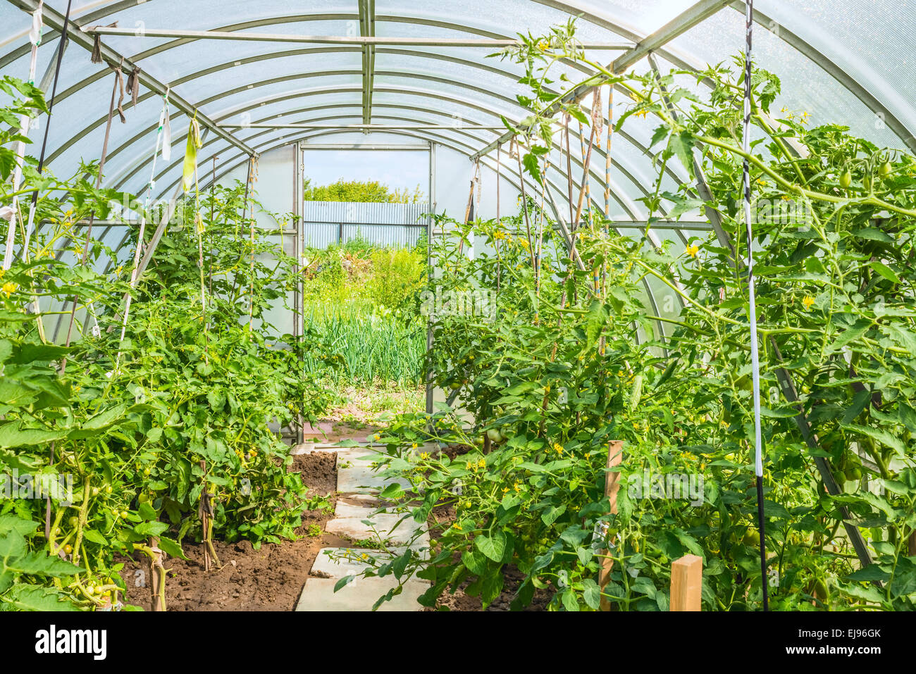 arched greenhouse Stock Photo
