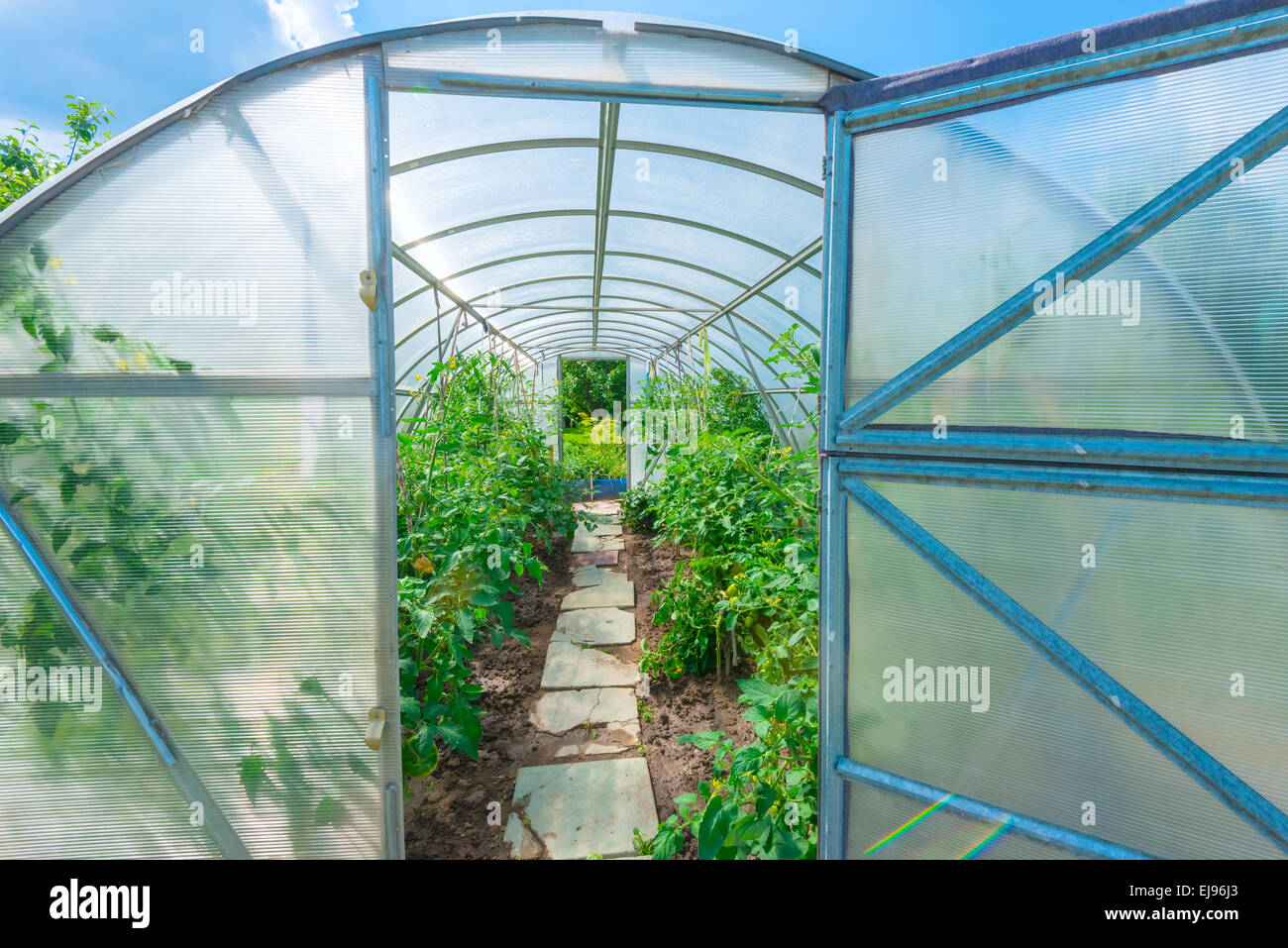arched greenhouse Stock Photo Alamy
