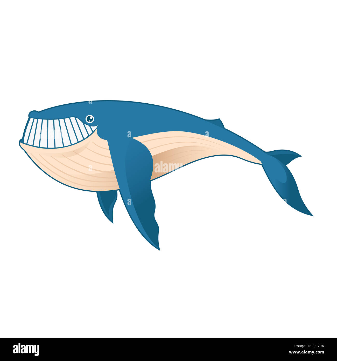 Vector image of a cartoon blue Whale Stock Photo - Alamy
