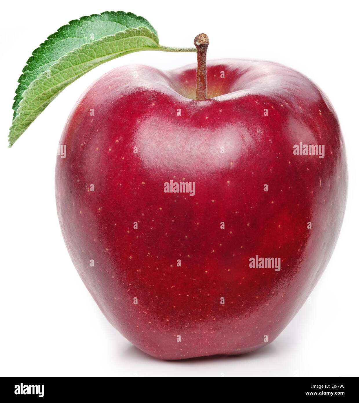Red apple on a white background. Stock Photo