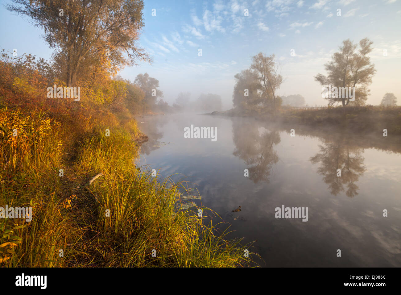 The autumn wood on the river bank Stock Photo - Alamy