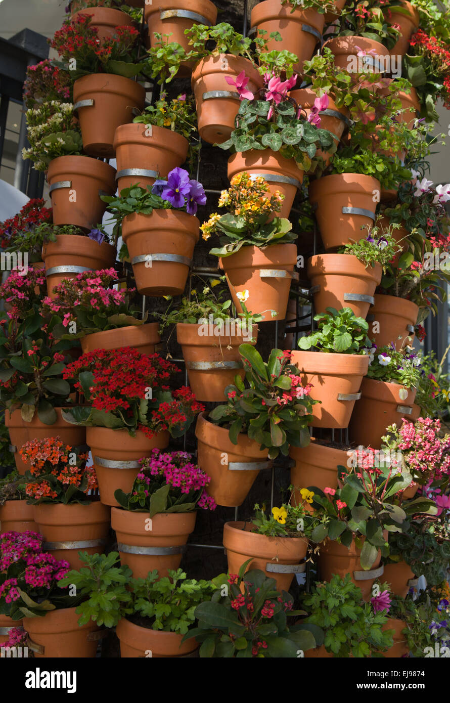 Tree trunk full of flowers pots hires stock photography and images Alamy