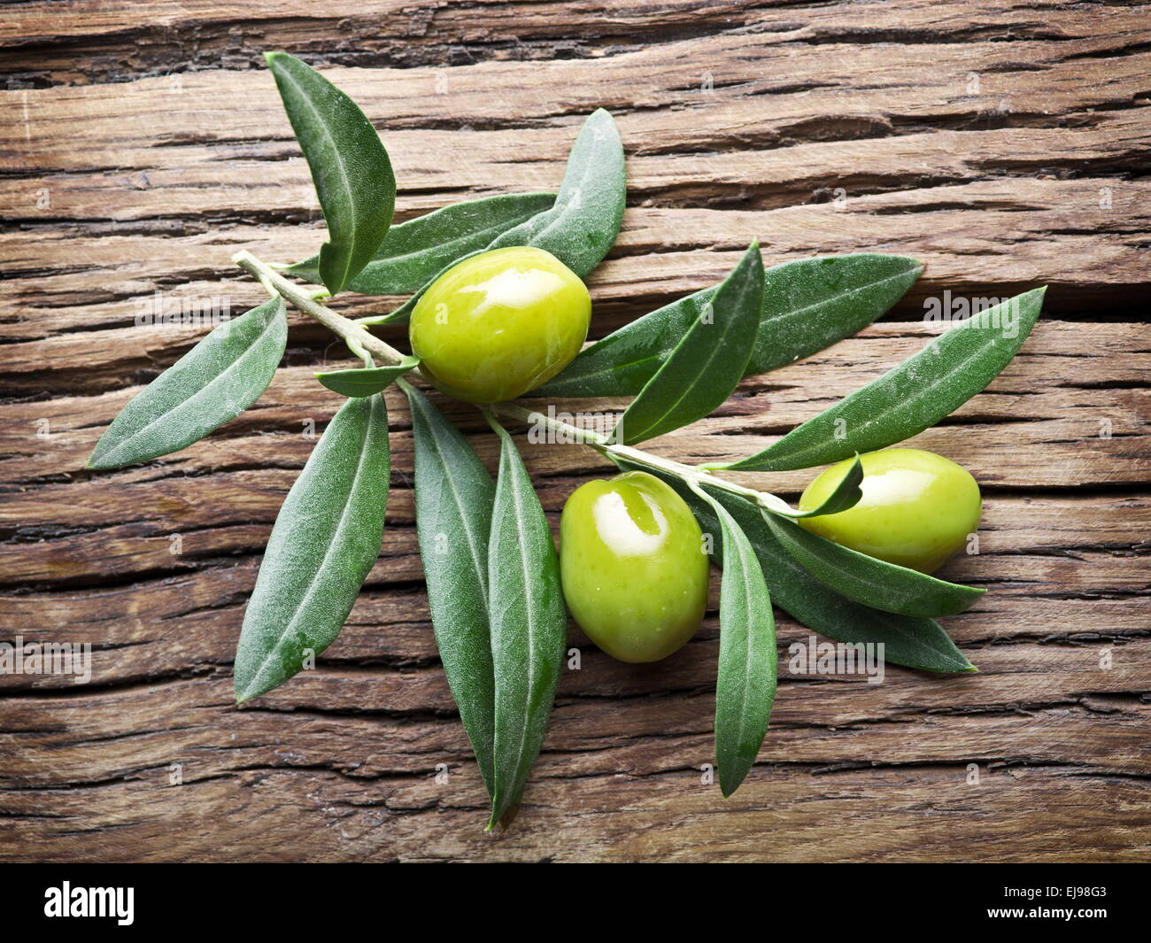 Olive twig on old wooden table. Stock Photo