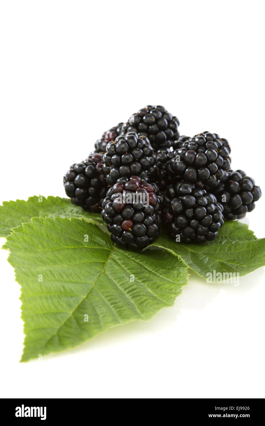Blackberry fruit with leafs. Stock Photo