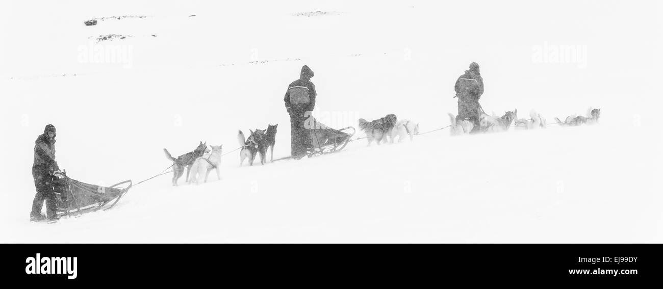 dog sledges, Stuor Reaiddavaggi, Lapland, Sweden Stock Photo