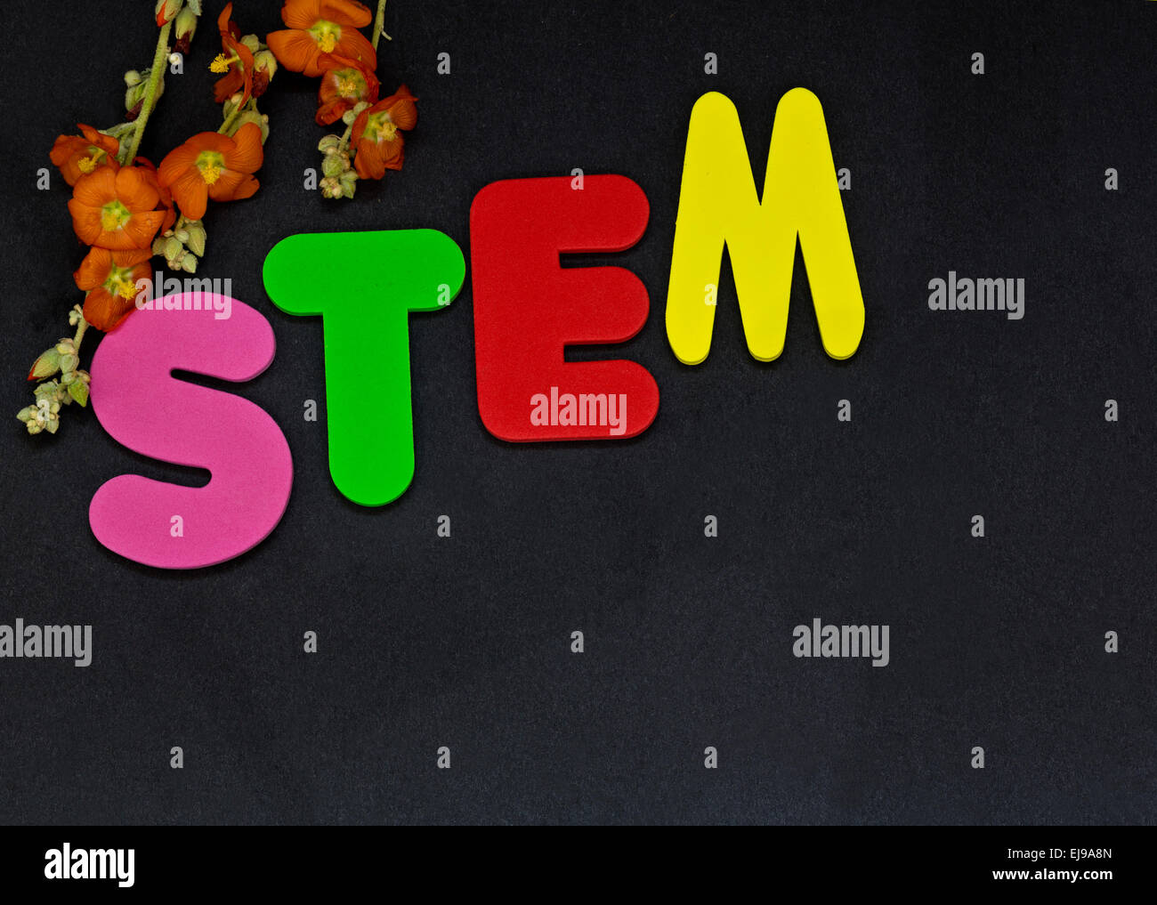 STEM education represented by letters STEM with flowers highlights importance of Science, Technology, Engineering, Mathematics. Stock Photo