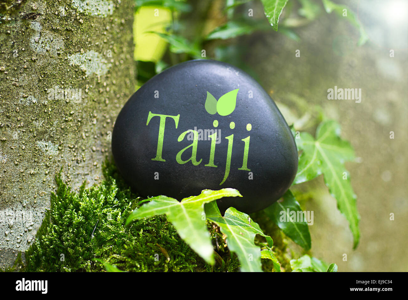 The Word „Taiji“ on a stone in nature Stock Photo