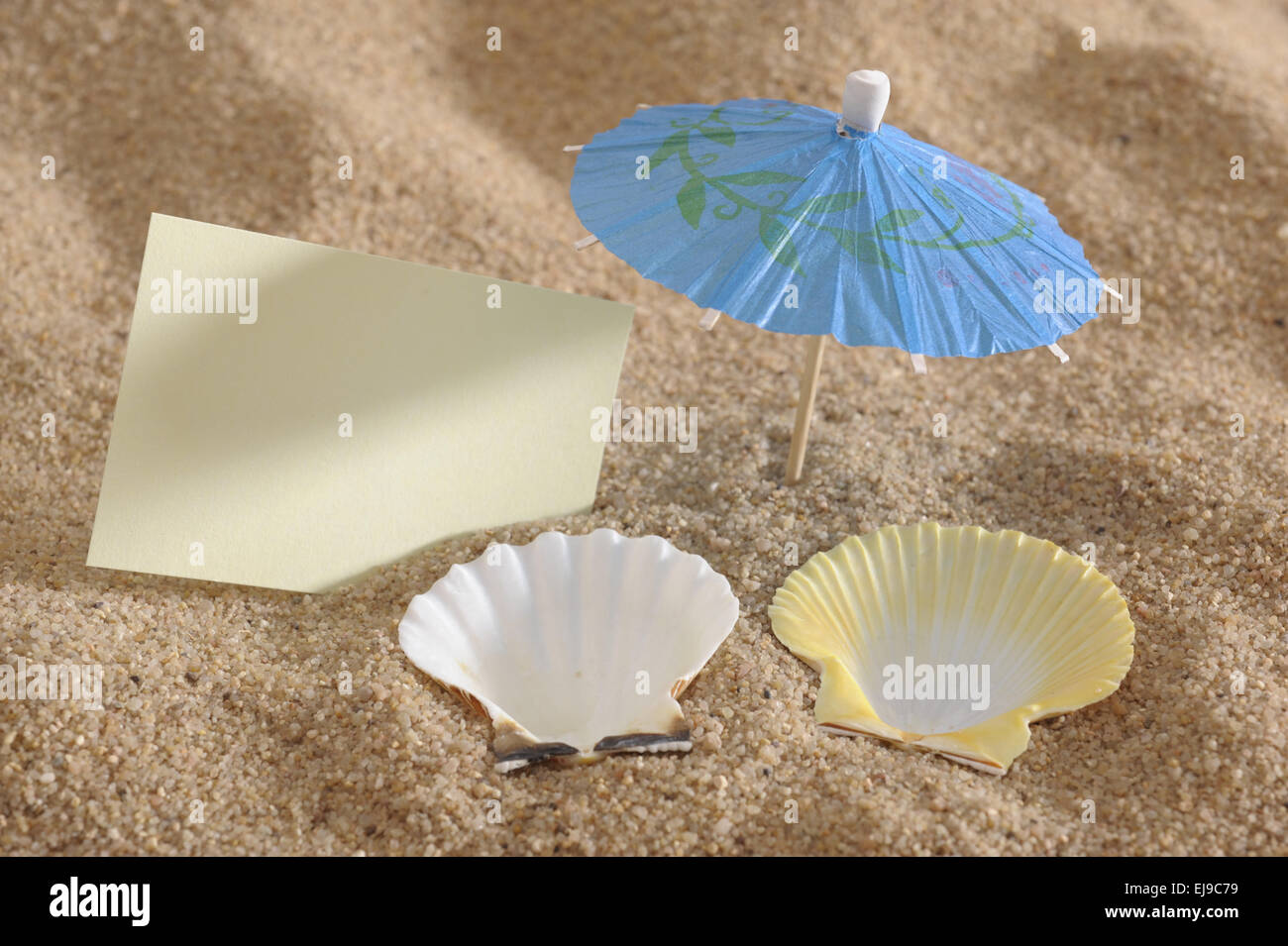 shells as loungers at beach with notice Stock Photo