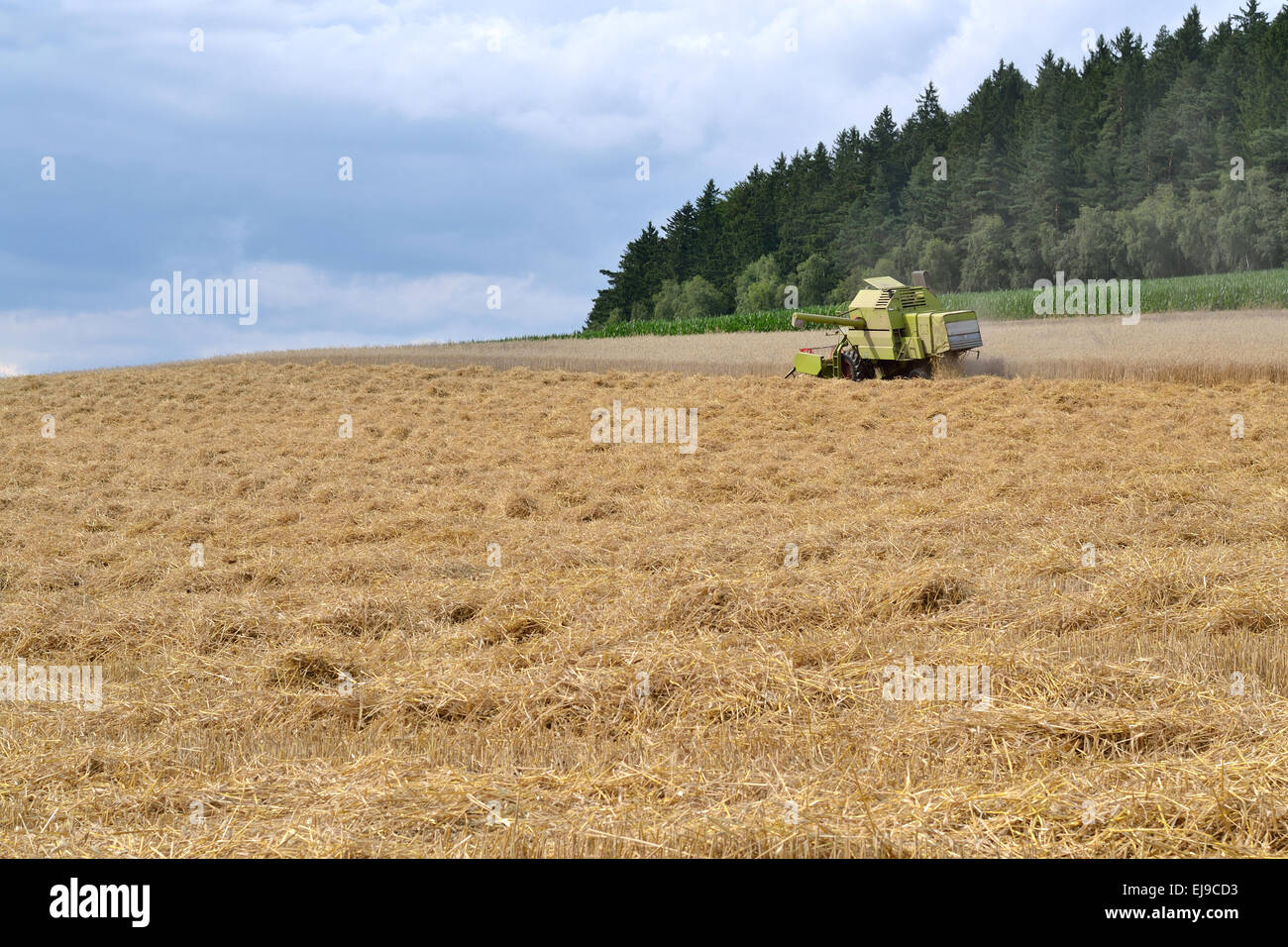 smaller Combine in large grain field Stock Photo