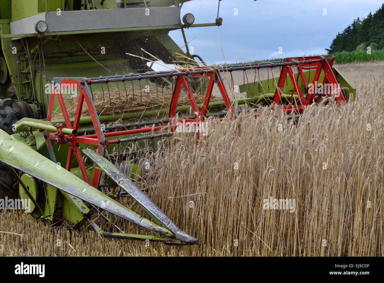 Combine harvester at grain crop - Close-up Stock Photo