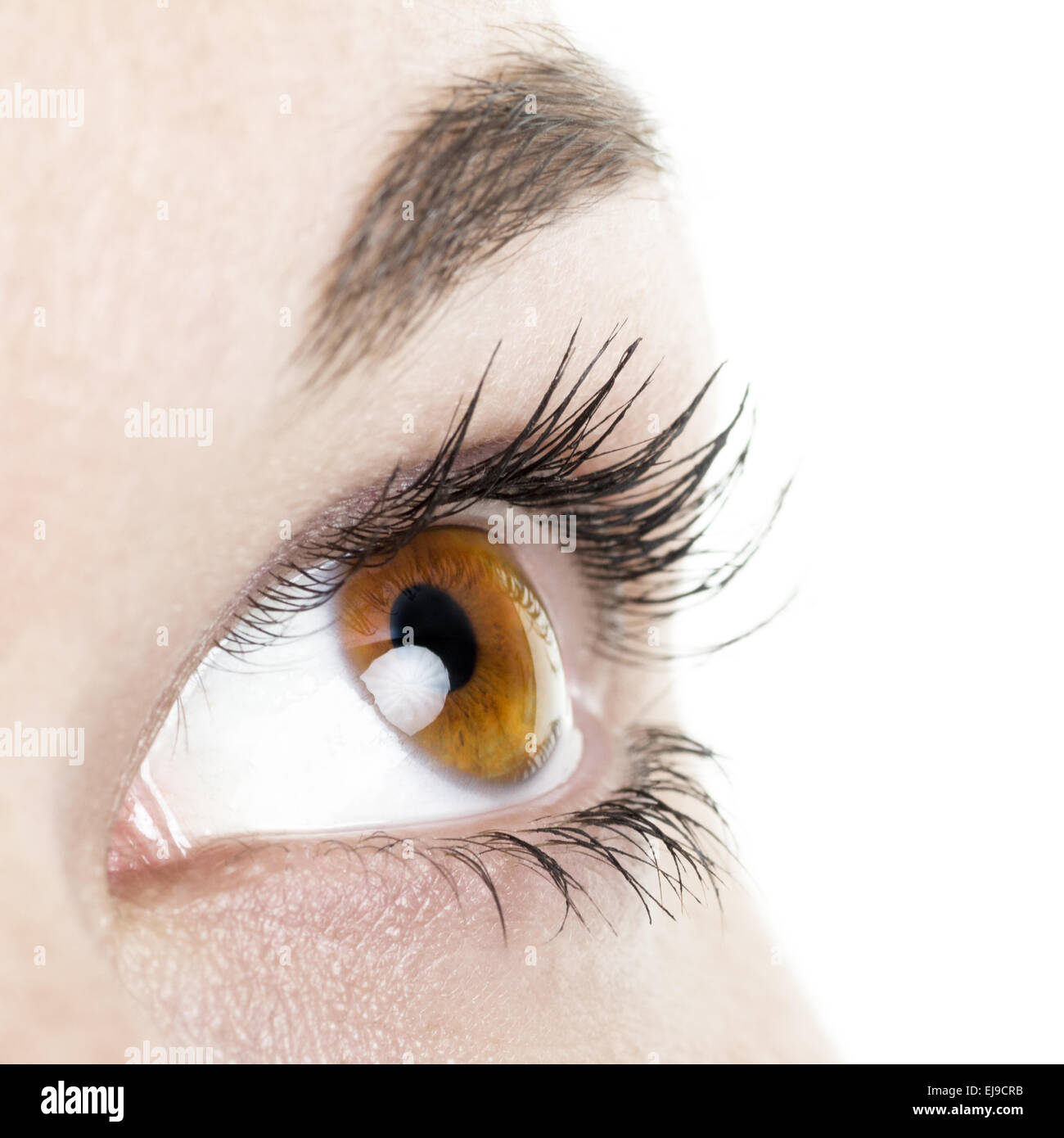 Eye macro Stock Photo