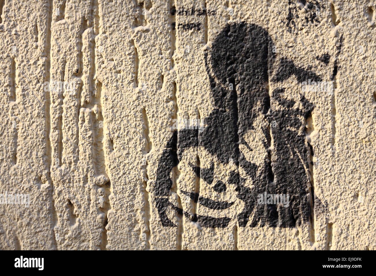 Political stencil graffito Stock Photo Alamy