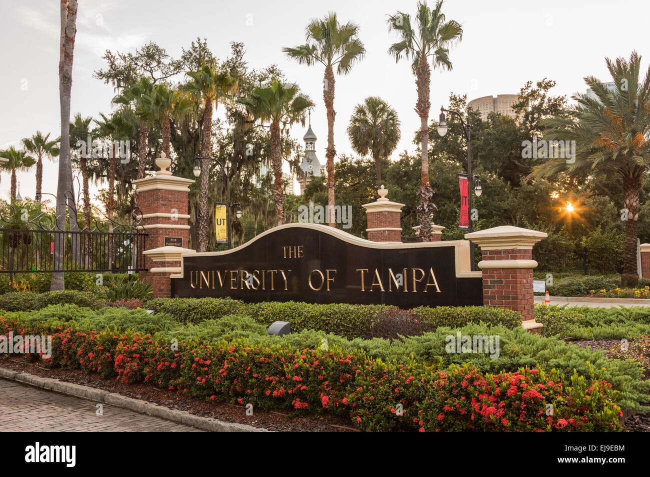 Signpost for University of Tampa Stock Photo