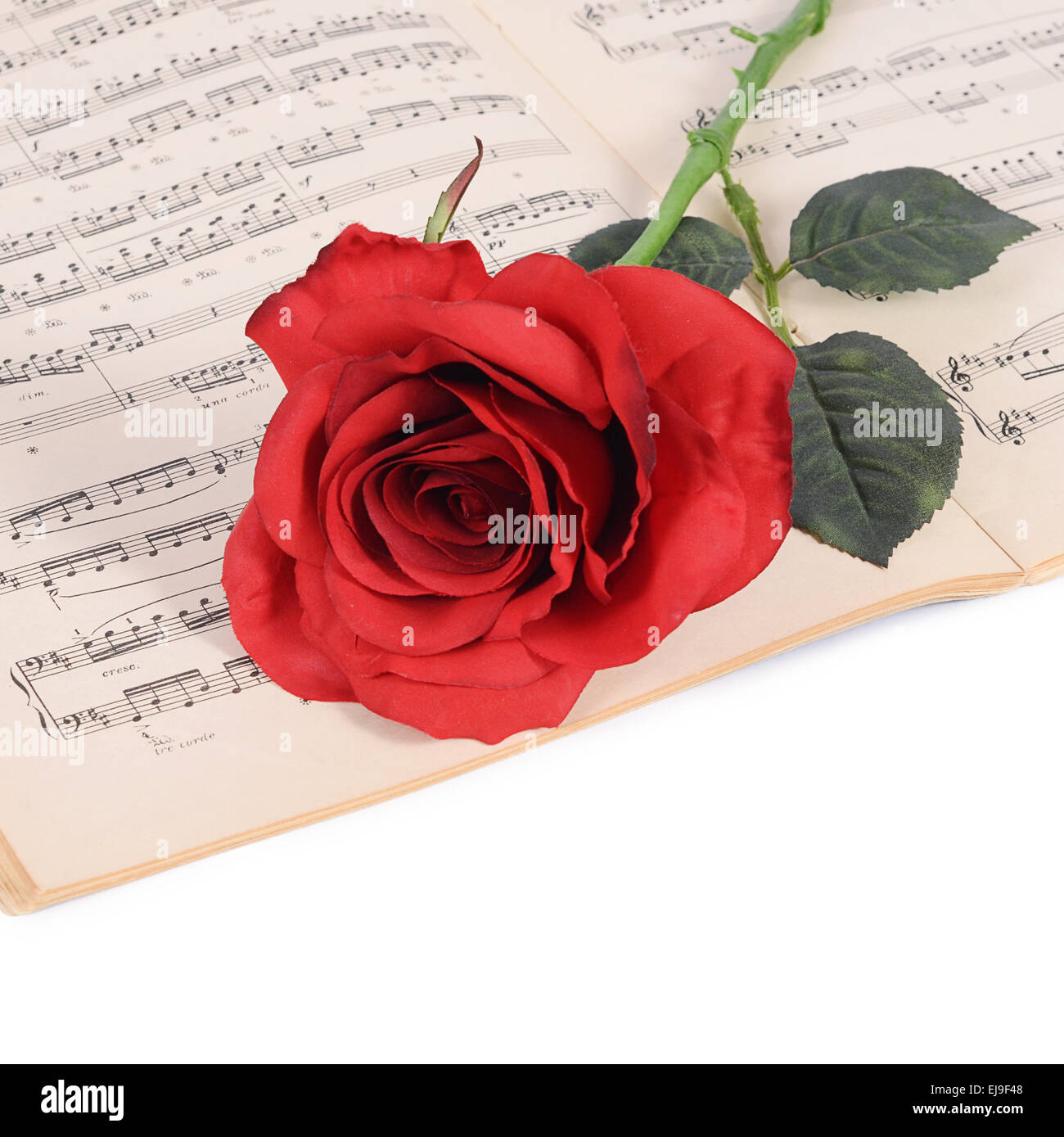 Single Roses With Notes The rose on notebooks with notes Stock Photo - Alamy