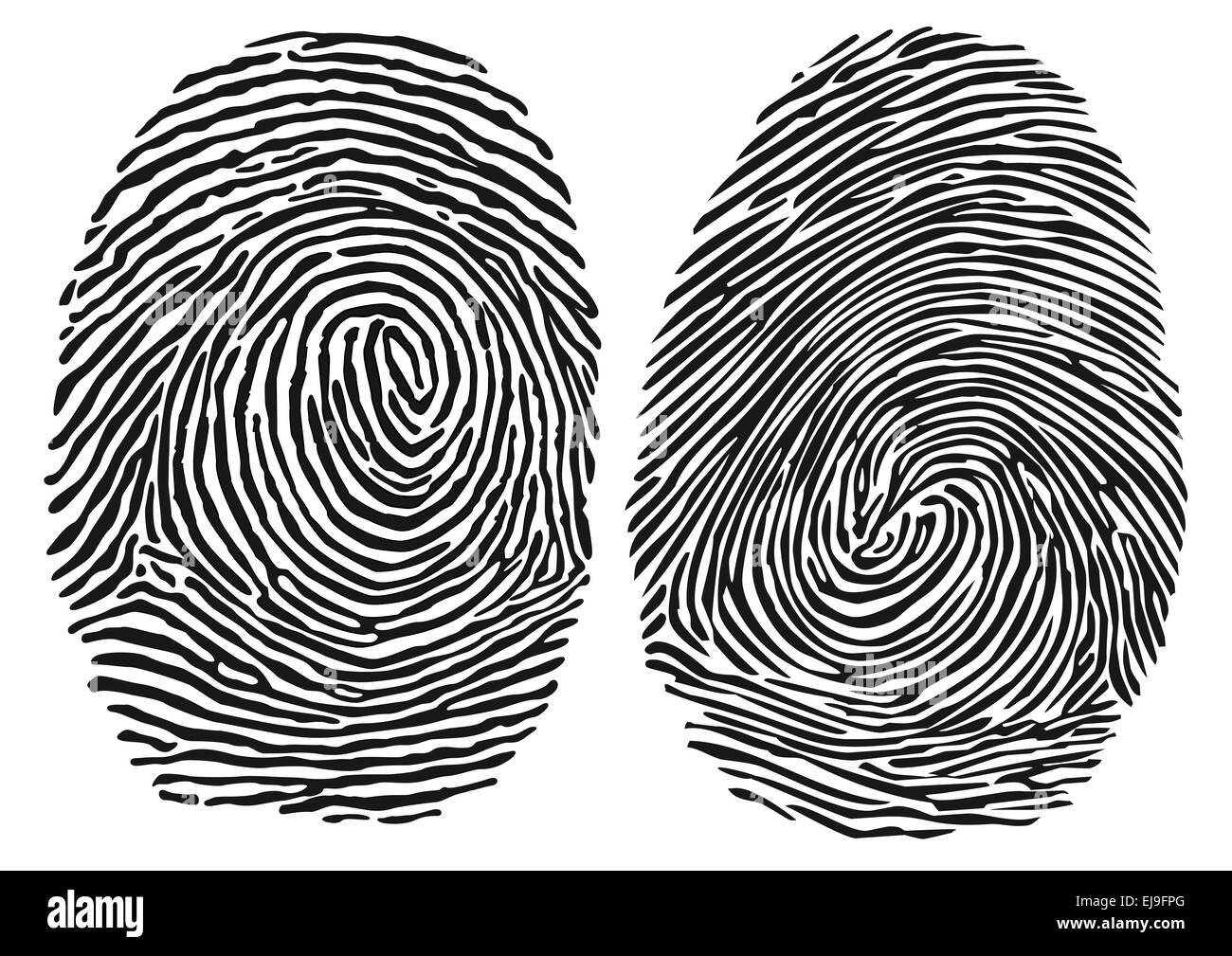 fingerprint Stock Photo