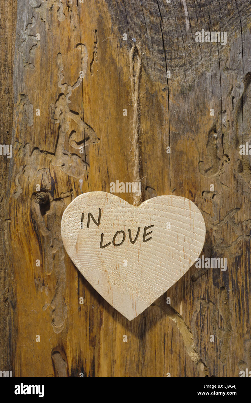 wooden heart on tree bark Stock Photo