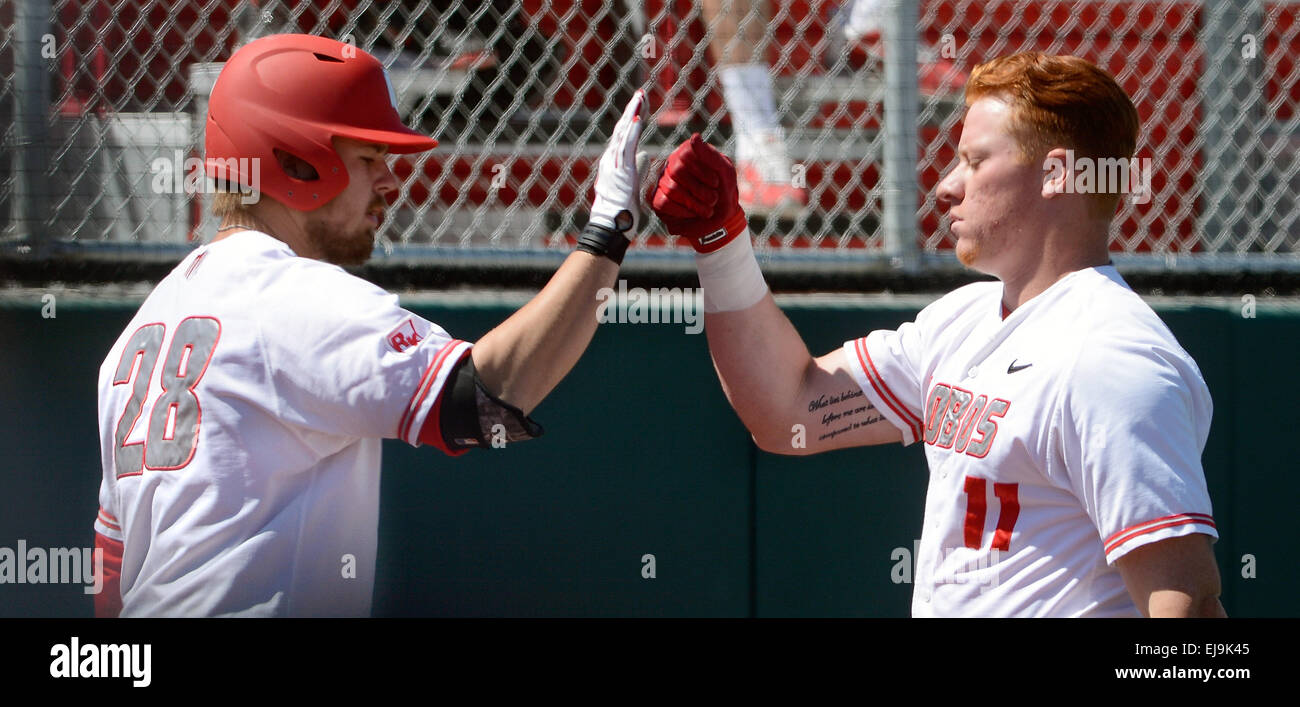 March 22, 2015 - U.S. - SPORTS -- The Lobos Chris DeVito ,11, celebrates his home run with Jack Zoellner, 28, in the first inning of the game against Houston at Lobo Field on Sunday, March 22, 2015. (Credit Image: © Greg Sorber/Albuquerque Journal/ZUMA Wire) Stock Photo