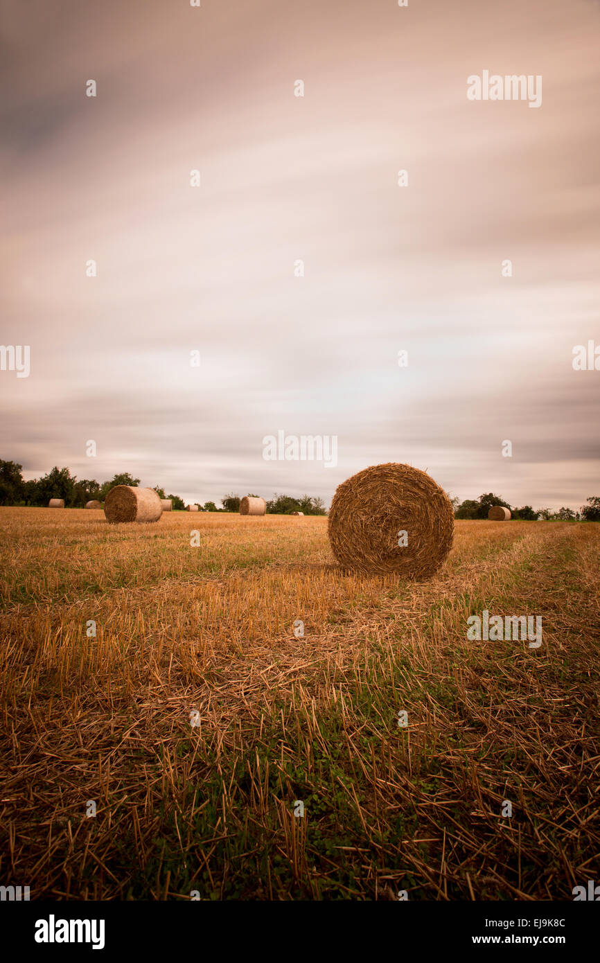 stubble field with straw bales Stock Photo - Alamy