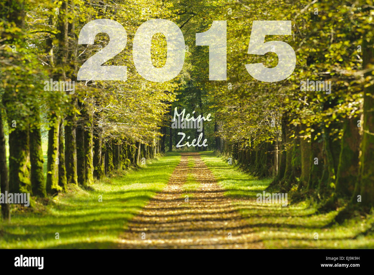 way and intention for new year 2015 Stock Photo
