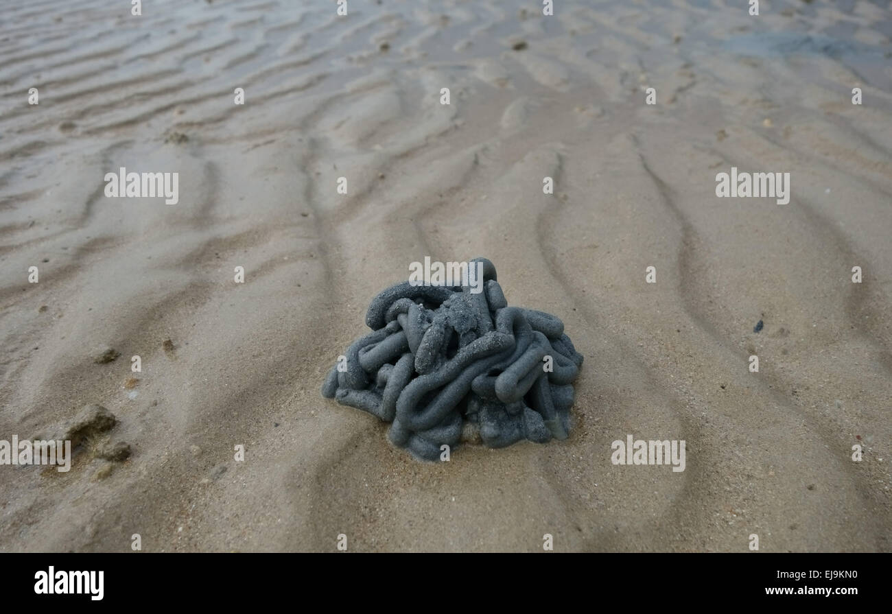 Dark sand thrown up in a worm cast created by a marine Hemichordata worm on a beach at low tide in Southern Thailand Stock Photo