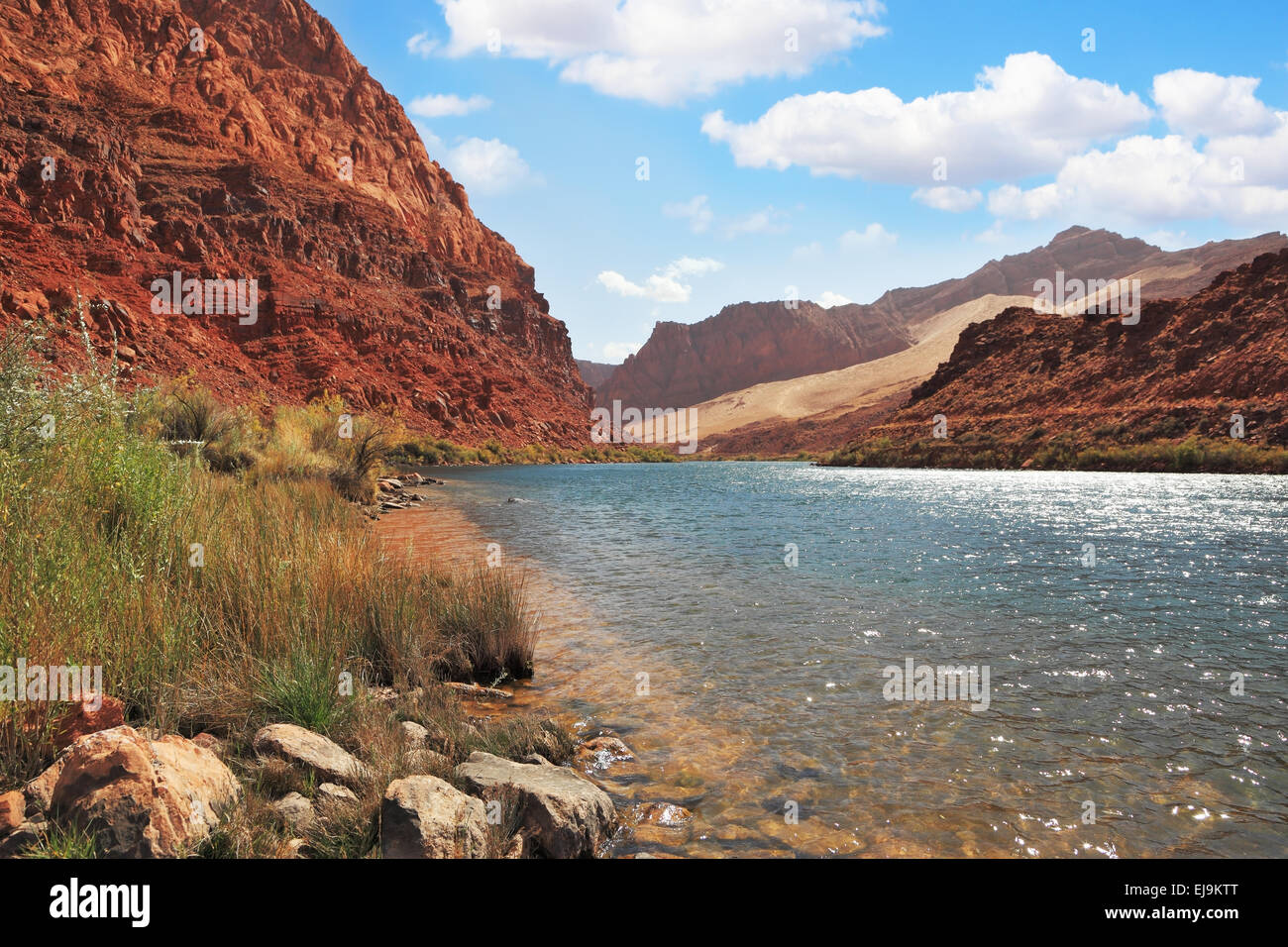 Clean water of the Colorado River Stock Photo - Alamy