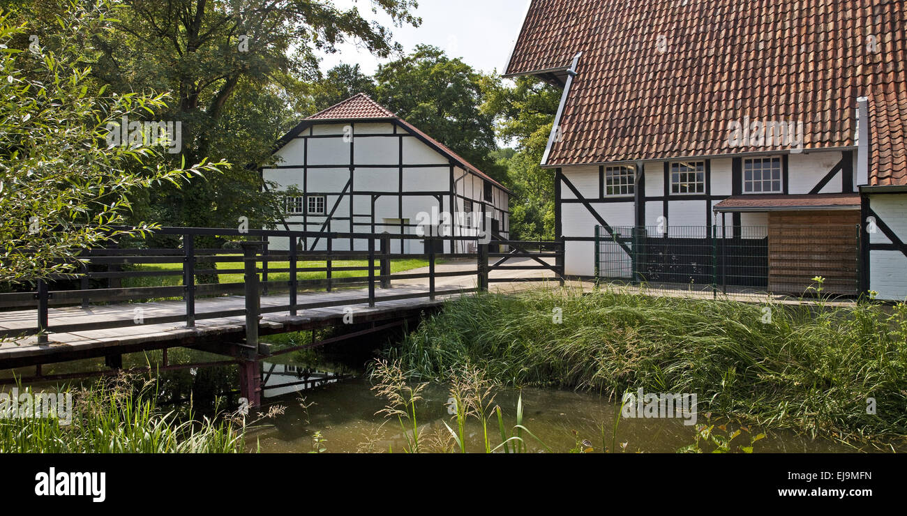 Gestuet Stock Photos Gestuet Stock Images Alamy