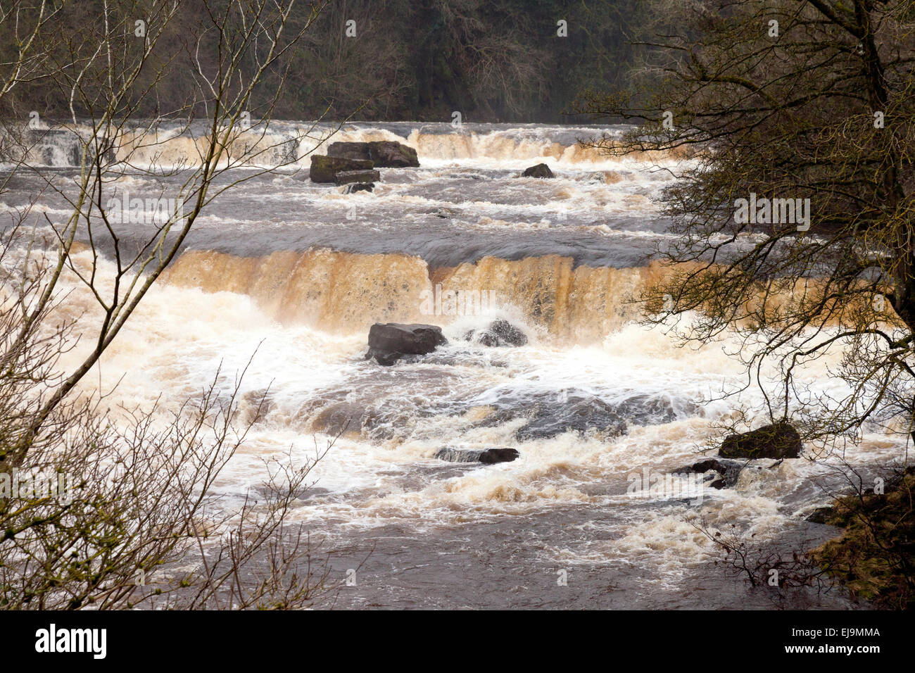 Upper Aysgarth Falls on the River Ure at  Aysgarth village, North Yorkshire Dales, England UK Stock Photo