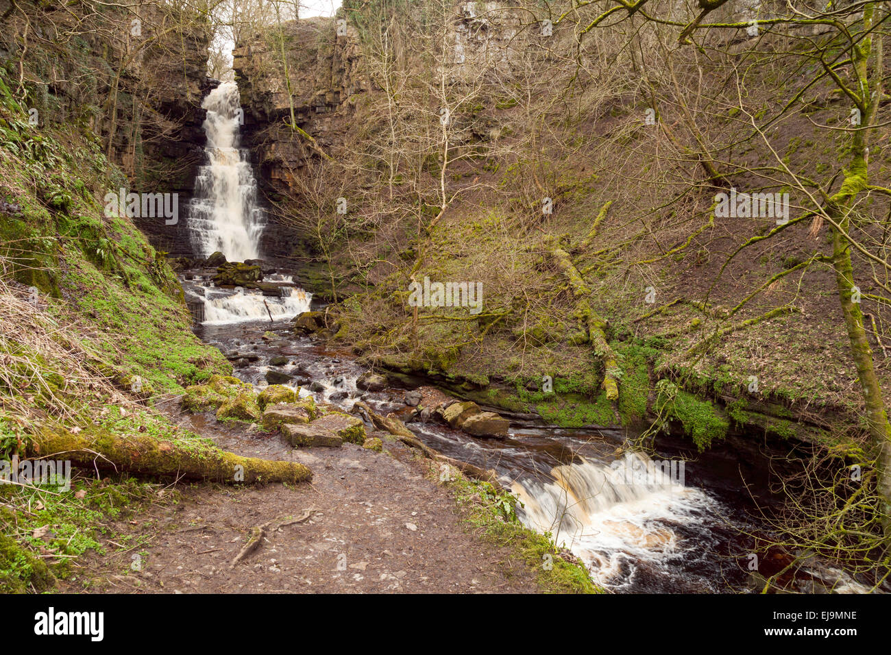 Mill Gill Force waterfall, Askrigg, North Yorkshire Dales National Park,  England UK Stock Photo
