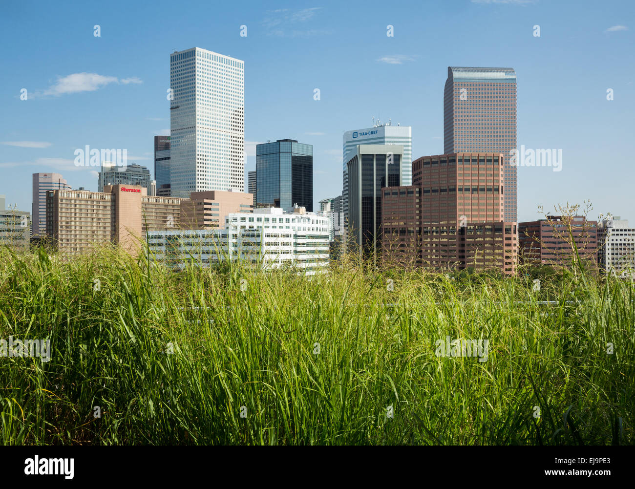 View of downtown buildings in Denver Stock Photo