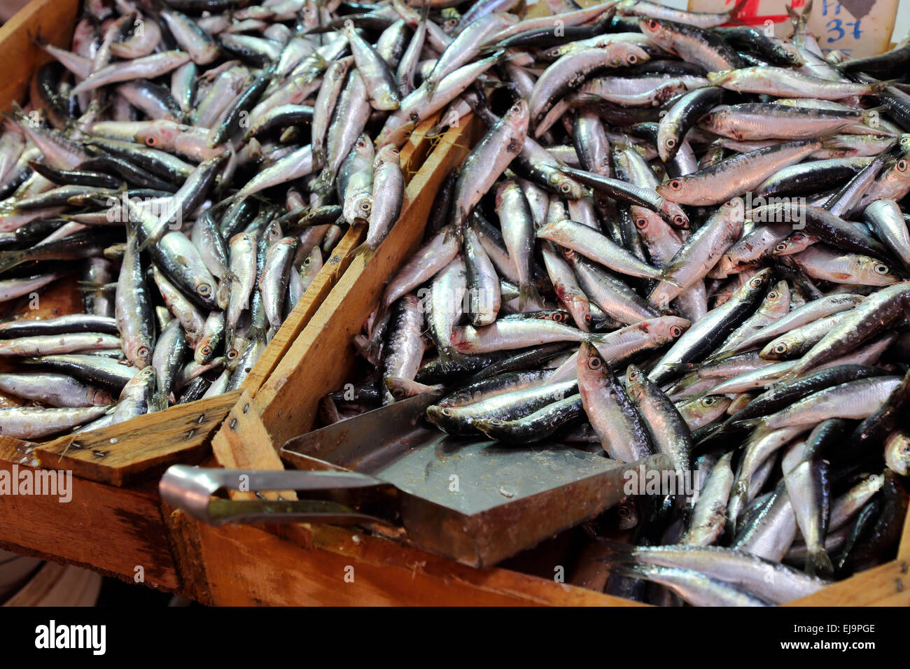 Greece Athens Athinas Central Market sardines Stock Photo