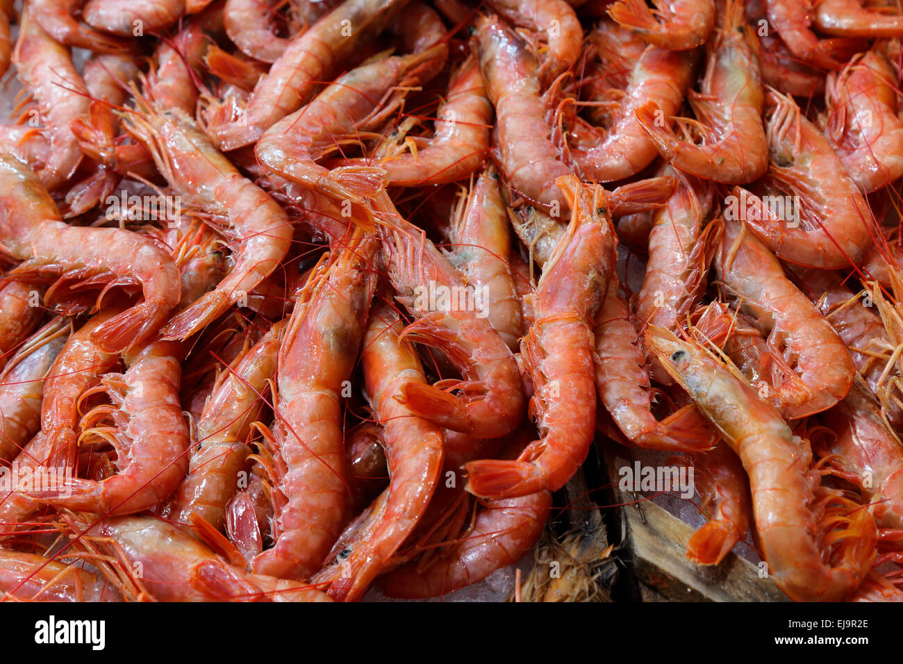 Greece Athens Athinas Central Market shrimp Stock Photo
