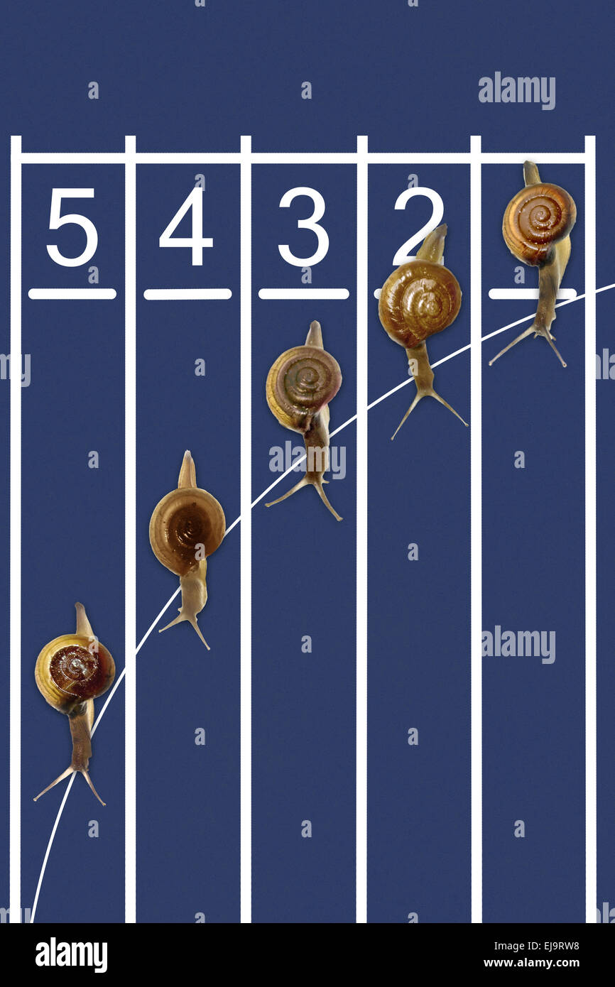 Snails running on track Stock Photo Alamy
