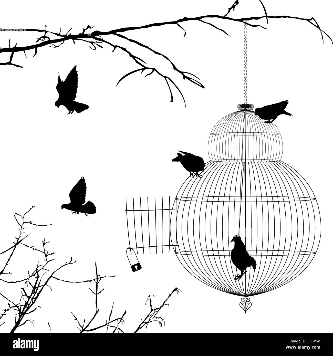 Birds Cage Escape Stock Photos & Birds Cage Escape Stock Images Alamy