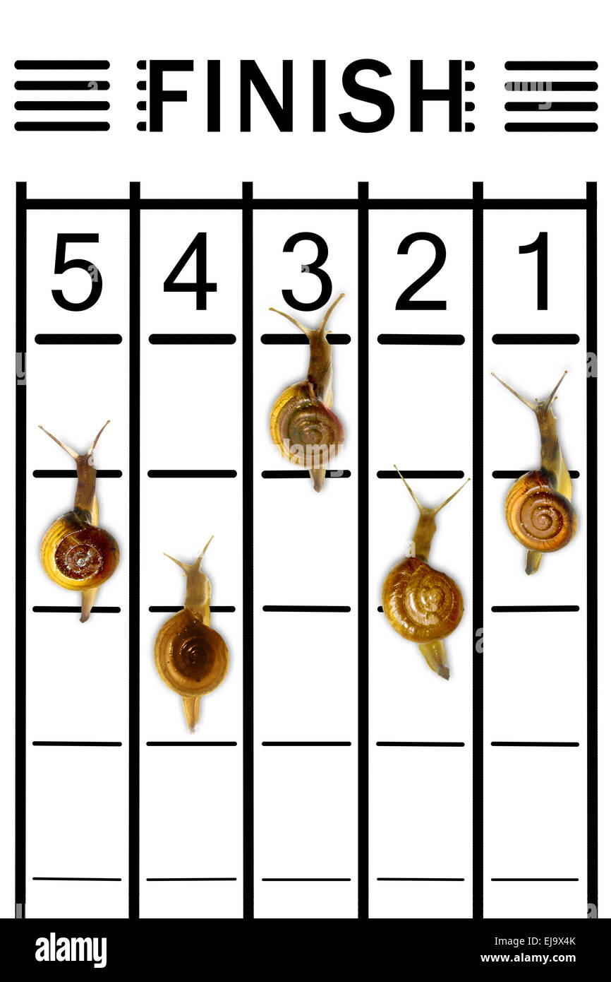 Snails running on track Stock Photo Alamy