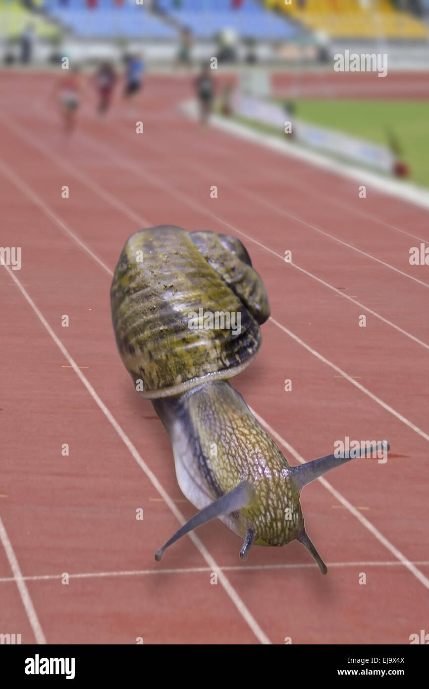 Snail running on track Stock Photo Alamy