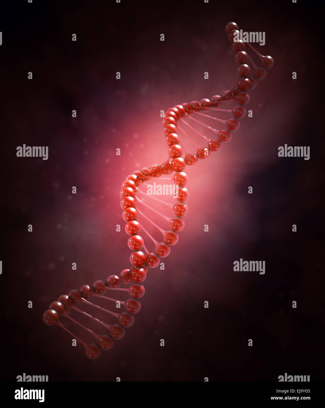 DNA strand model illustration Stock Photo Alamy