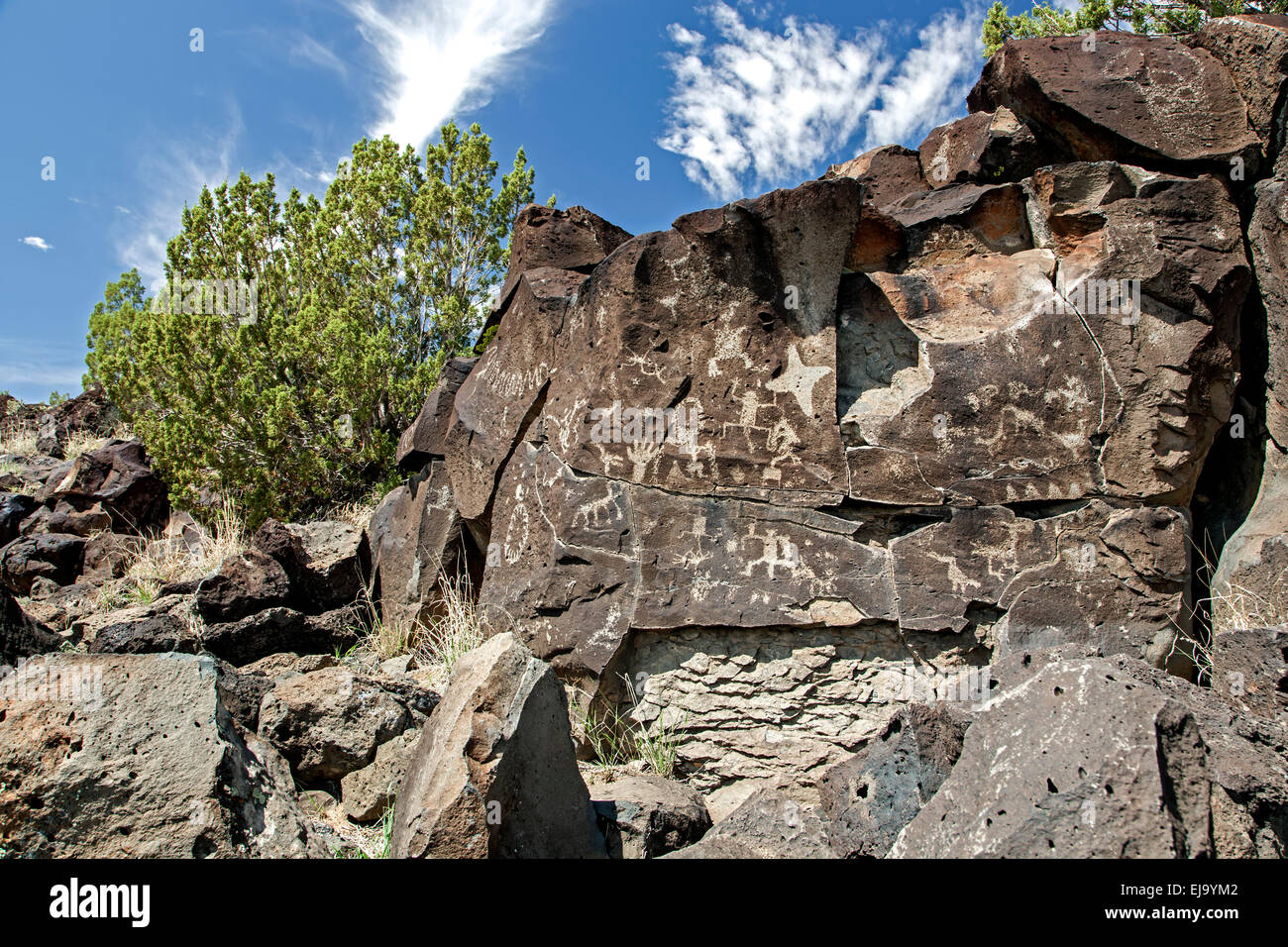 Petroglyphs, La Cieneguilla Petroglyph Site, Santa Fe, New Mexico USA