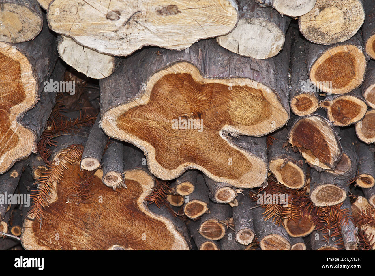 Firewood Stock Photo