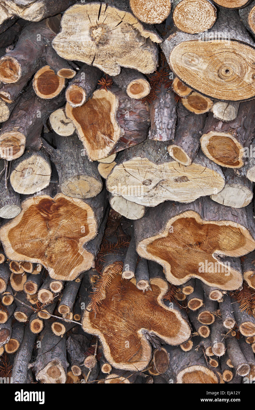 Firewood Stock Photo